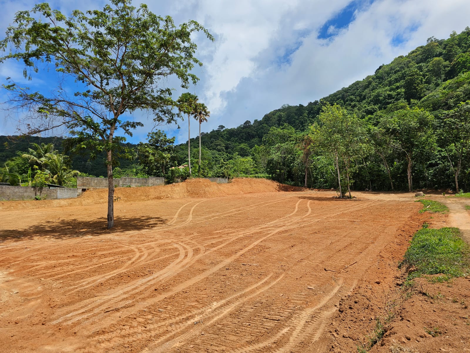 Unique eco viva 11